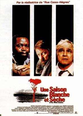 Afrique du sud, les livres et films vraiment incontournables Afrique du sud, les livres et films vraiment incontournables